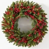 Hot Red Berry BH Fraser Fir® Foliage 30 - 42 Inch|5 - 7 Feet