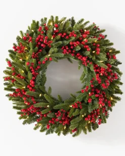 Hot Red Berry BH Fraser Fir® Foliage 30 - 42 Inch|5 - 7 Feet