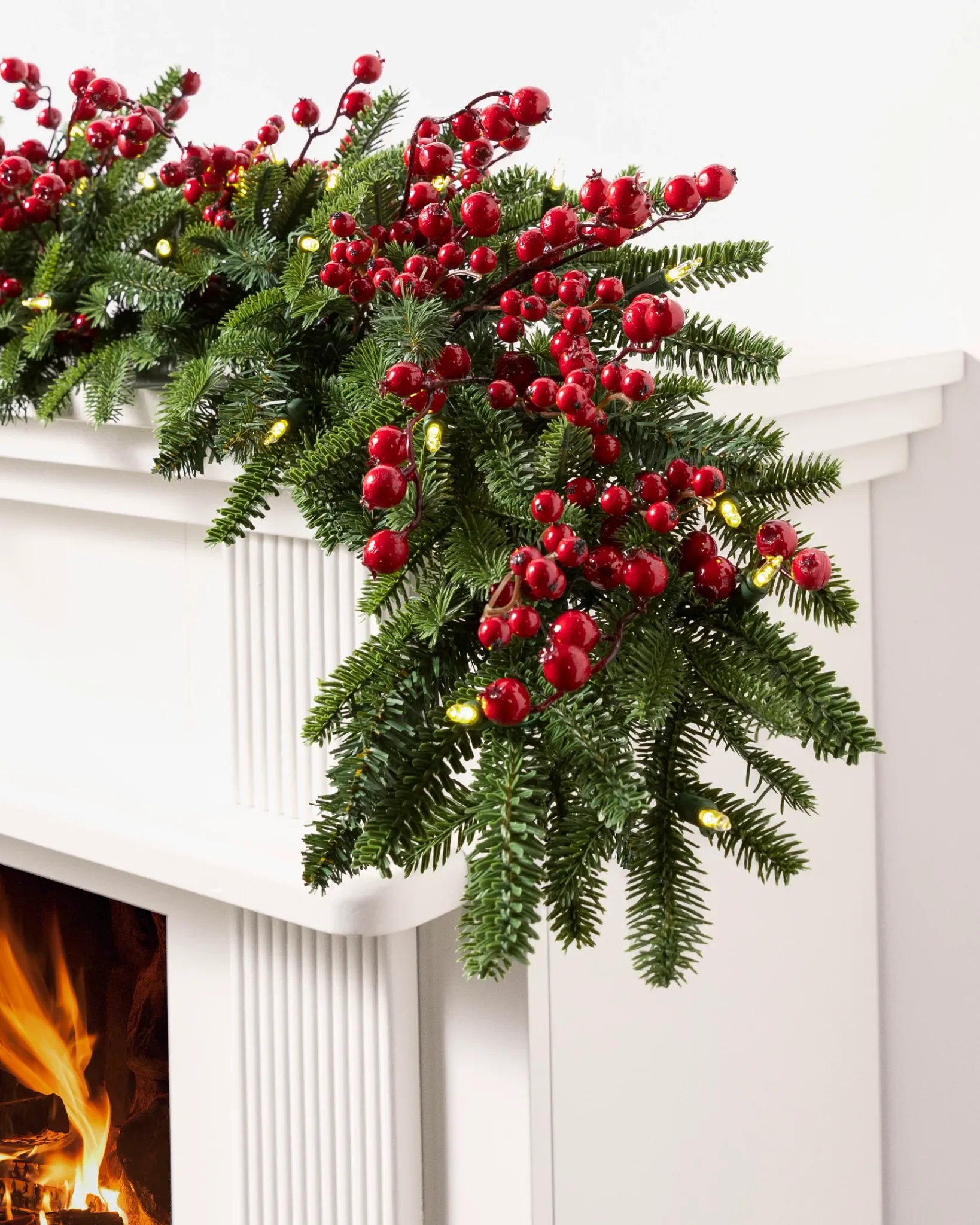 Hot Red Berry BH Fraser Fir® Foliage 30 - 42 Inch|5 - 7 Feet