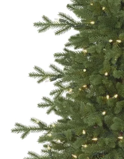 Clearance Red Spruce Trees 7 - 7.5 Feet|Pre-Lit