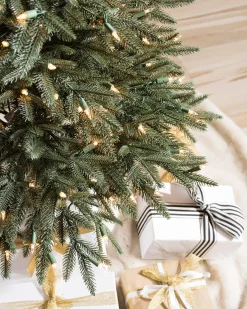 Sale Revelstoke Fir® Trees 7 - 7.5 Feet|8 - 9 Feet