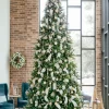Outlet Rockefeller Pine Trees 15 - 30 Feet|Pre-Lit