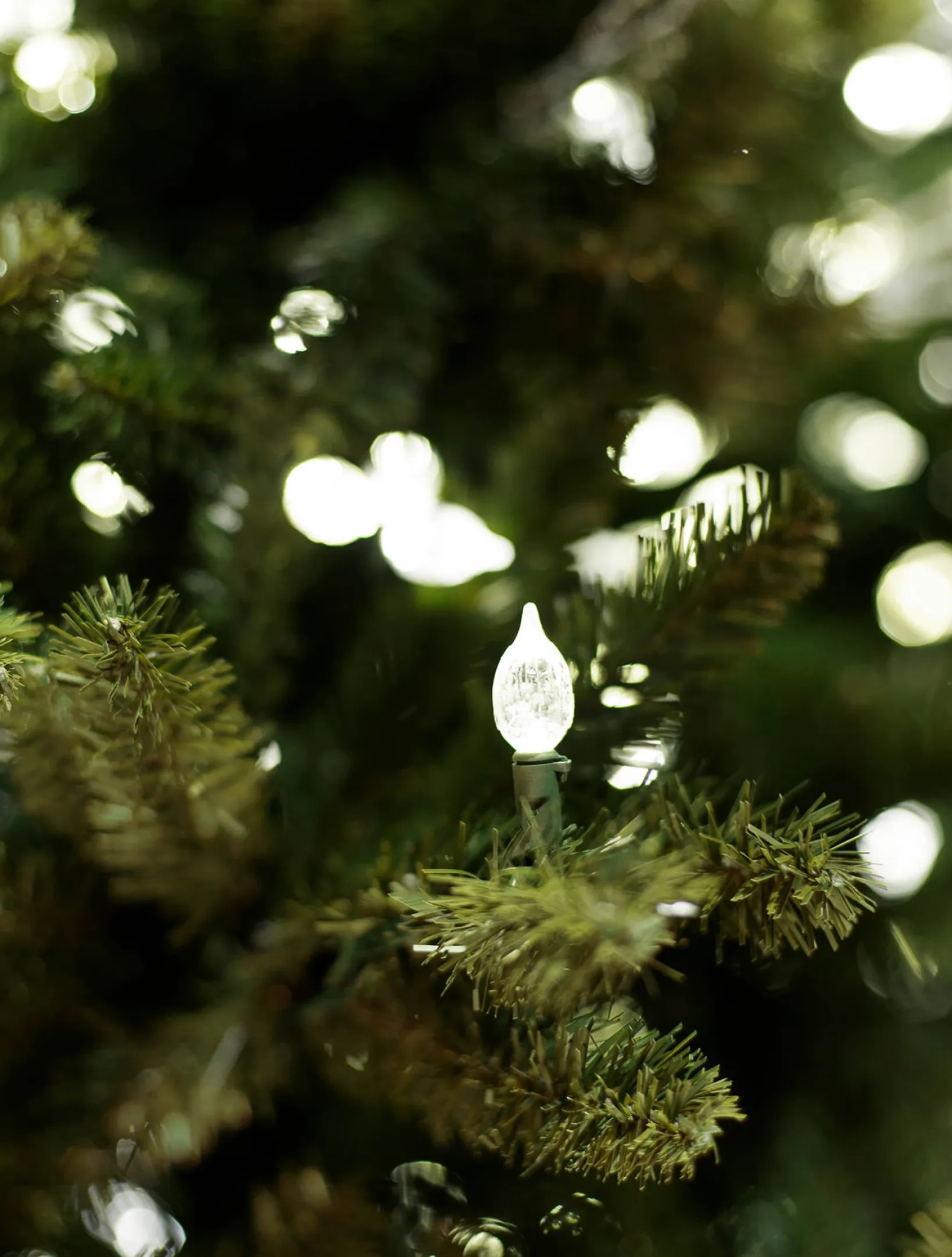 Outlet Rockefeller Pine Trees 15 - 30 Feet|Pre-Lit