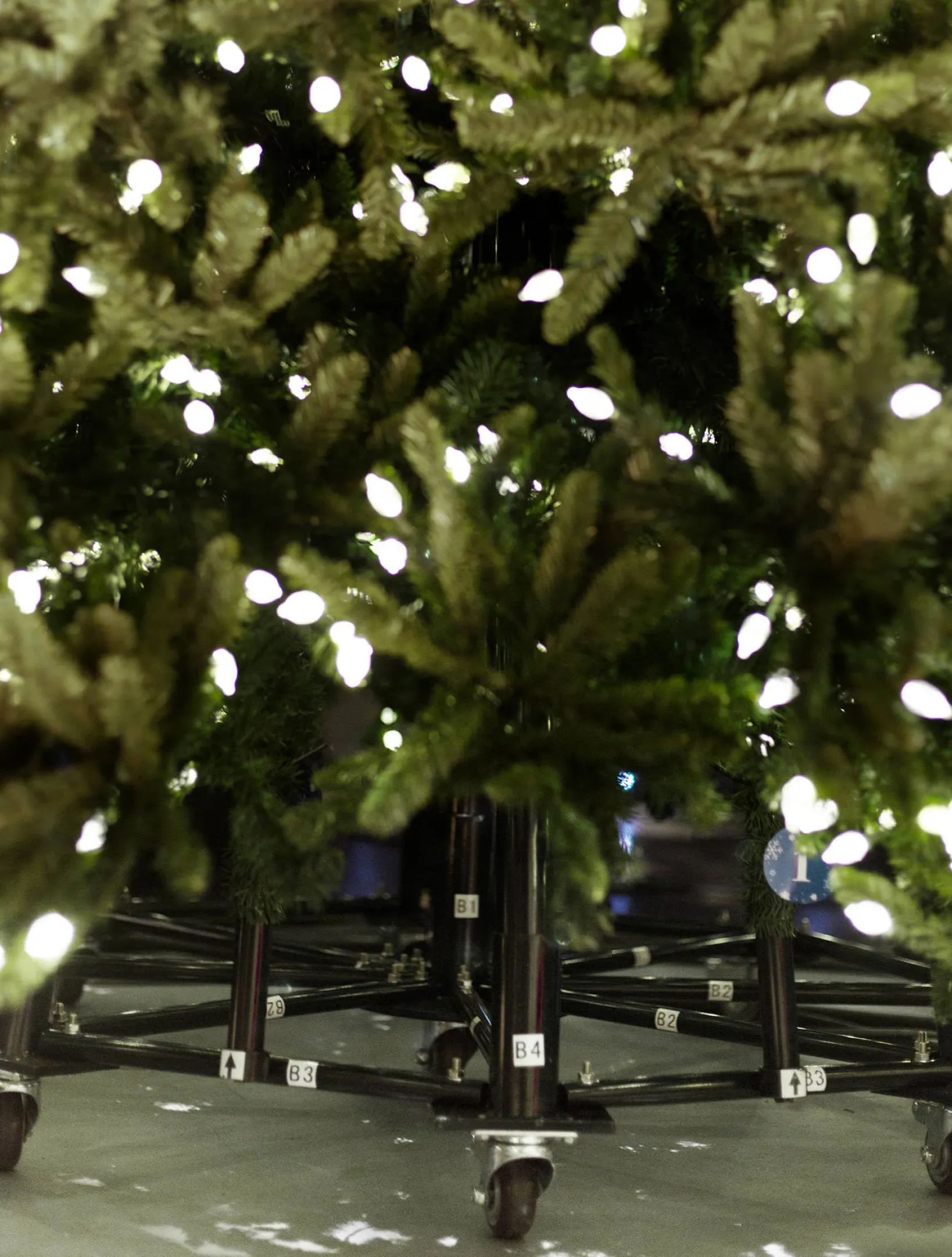 Outlet Rockefeller Pine Trees 15 - 30 Feet|Pre-Lit