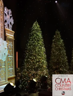 Outlet Rockefeller Pine Trees 15 - 30 Feet|Pre-Lit
