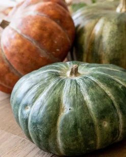 Online Rustic Heirloom Pumpkins Decorative Accents
