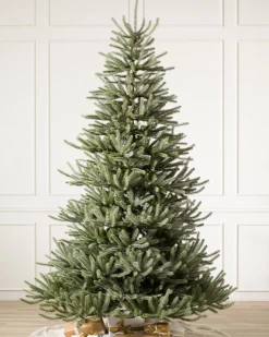 Hot Sanibel Spruce Trees 7 - 7.5 Feet|Pre-Lit