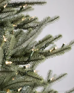 Hot Sanibel Spruce Trees 7 - 7.5 Feet|Pre-Lit