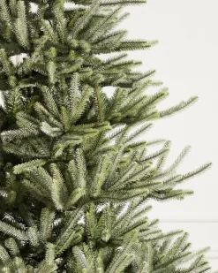 Hot Sanibel Spruce Trees 7 - 7.5 Feet|Pre-Lit