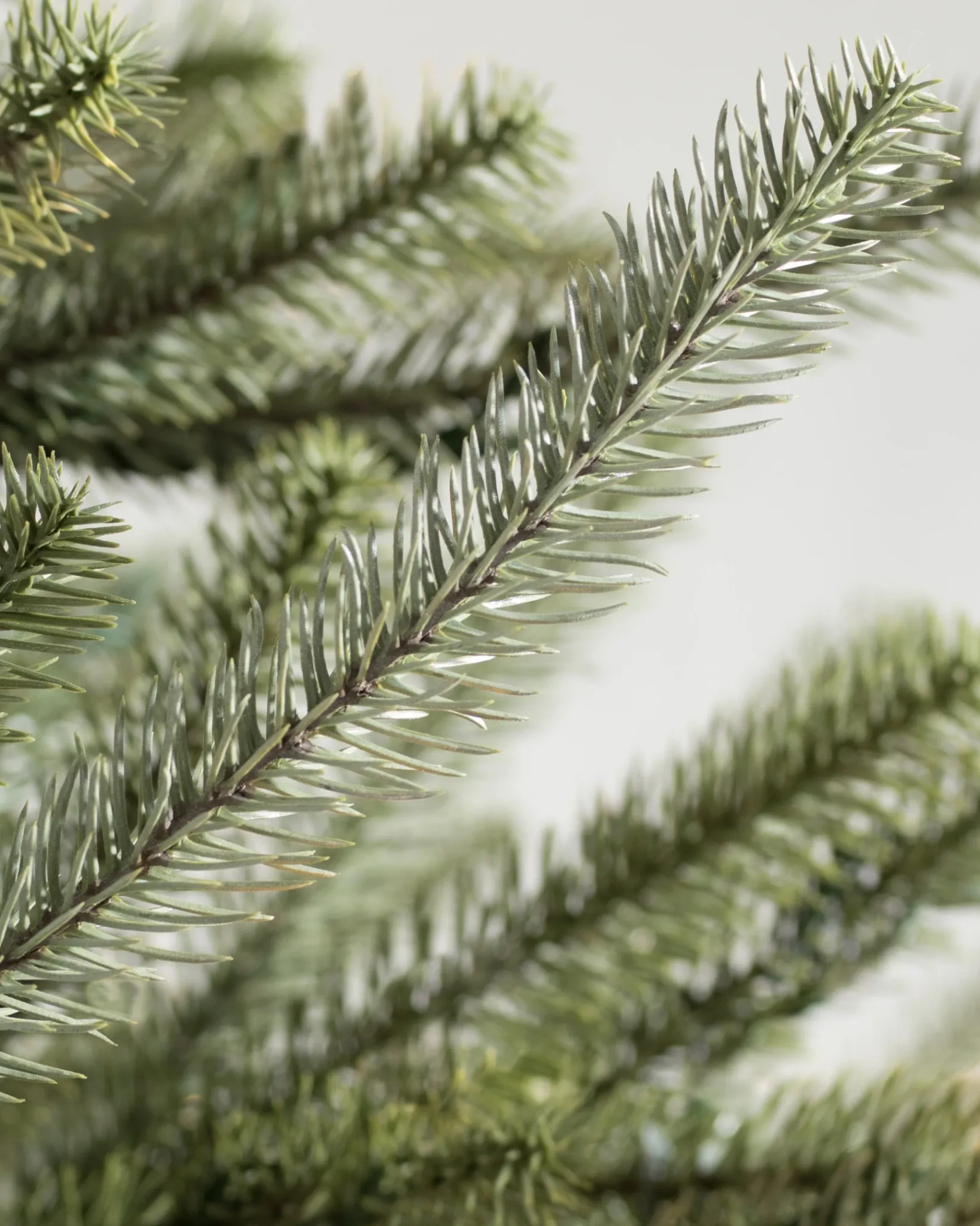 Hot Sanibel Spruce Trees 7 - 7.5 Feet|Pre-Lit