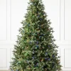 Online Saratoga Spruce Trees 7 - 7.5 Feet|6 - 6.5 Feet