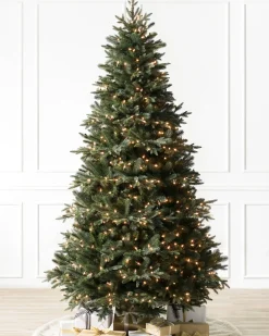Online Saratoga Spruce Trees 7 - 7.5 Feet|6 - 6.5 Feet