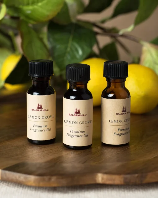 Best Spring Scents Of The Season Cartridge Set Candles & Scents