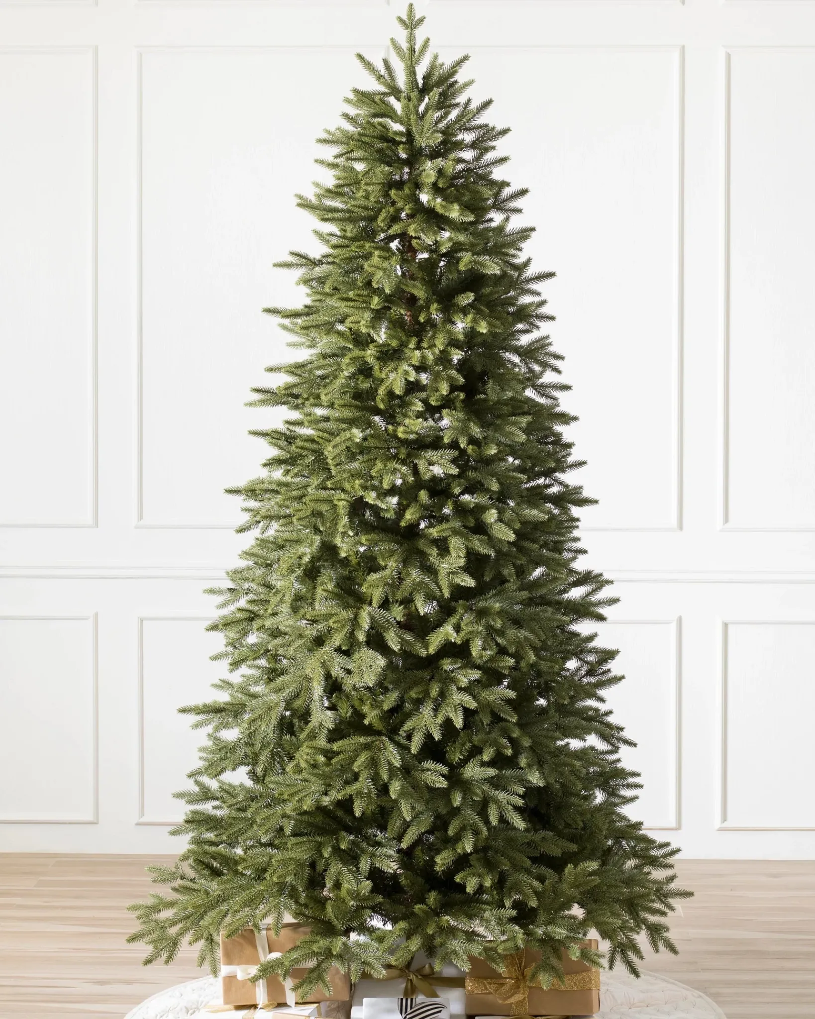 Sale Stratford Spruce Trees 7 - 7.5 Feet|6 - 6.5 Feet