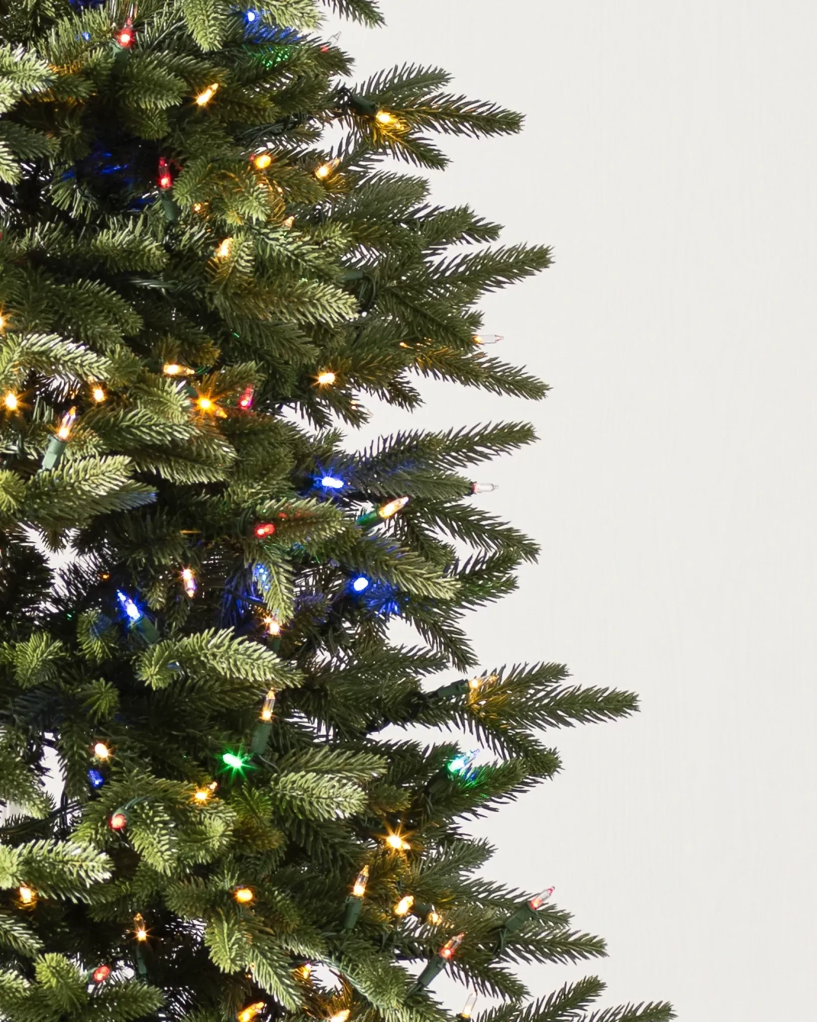 Sale Stratford Spruce Trees 7 - 7.5 Feet|6 - 6.5 Feet