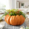 New Succulent Harvest Pumpkin Foliage Topiaries & Potted Flowers|Swags & Hanging Baskets