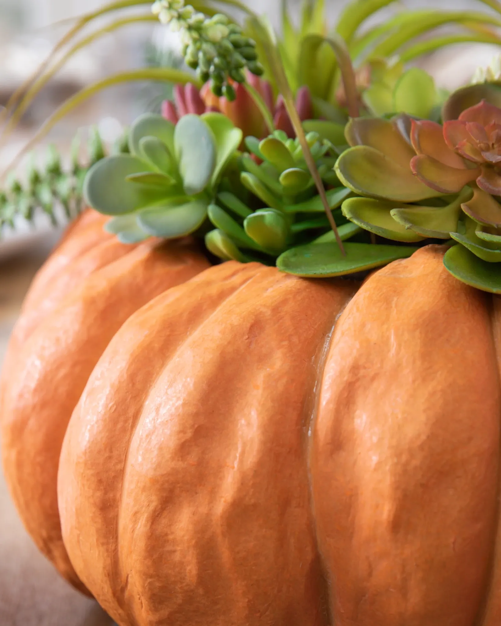 New Succulent Harvest Pumpkin Foliage Topiaries & Potted Flowers|Swags & Hanging Baskets