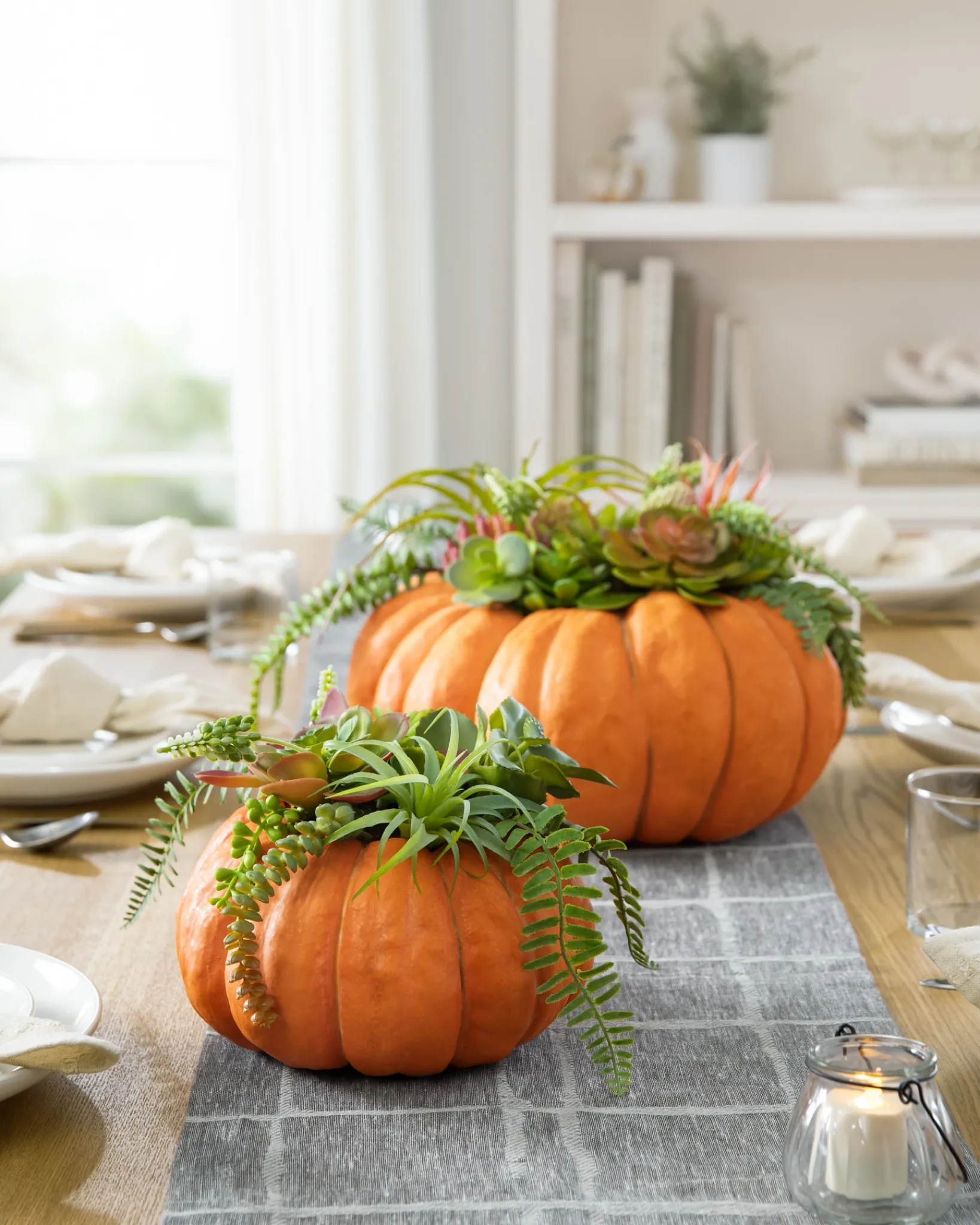 New Succulent Harvest Pumpkin Foliage Topiaries & Potted Flowers|Swags & Hanging Baskets
