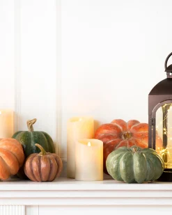 Outlet Tabletop Heirloom Pumpkins Decorative Accents