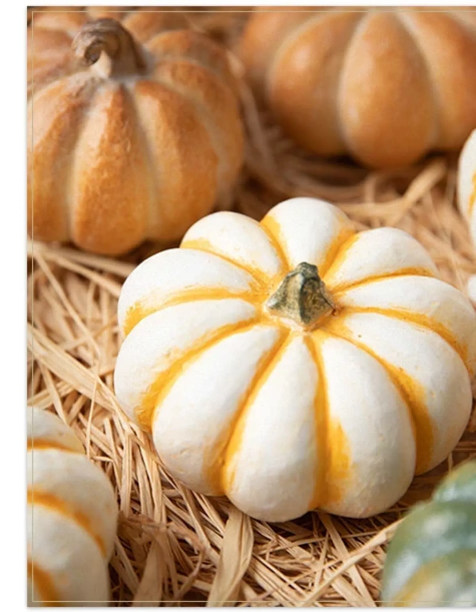 Outlet Tabletop Heirloom Pumpkins Decorative Accents