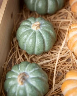 Outlet Tabletop Heirloom Pumpkins Decorative Accents