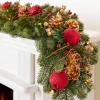 Outlet Vermont White Spruce Bordeaux Foliage 26 - 28 Inch|Indoor