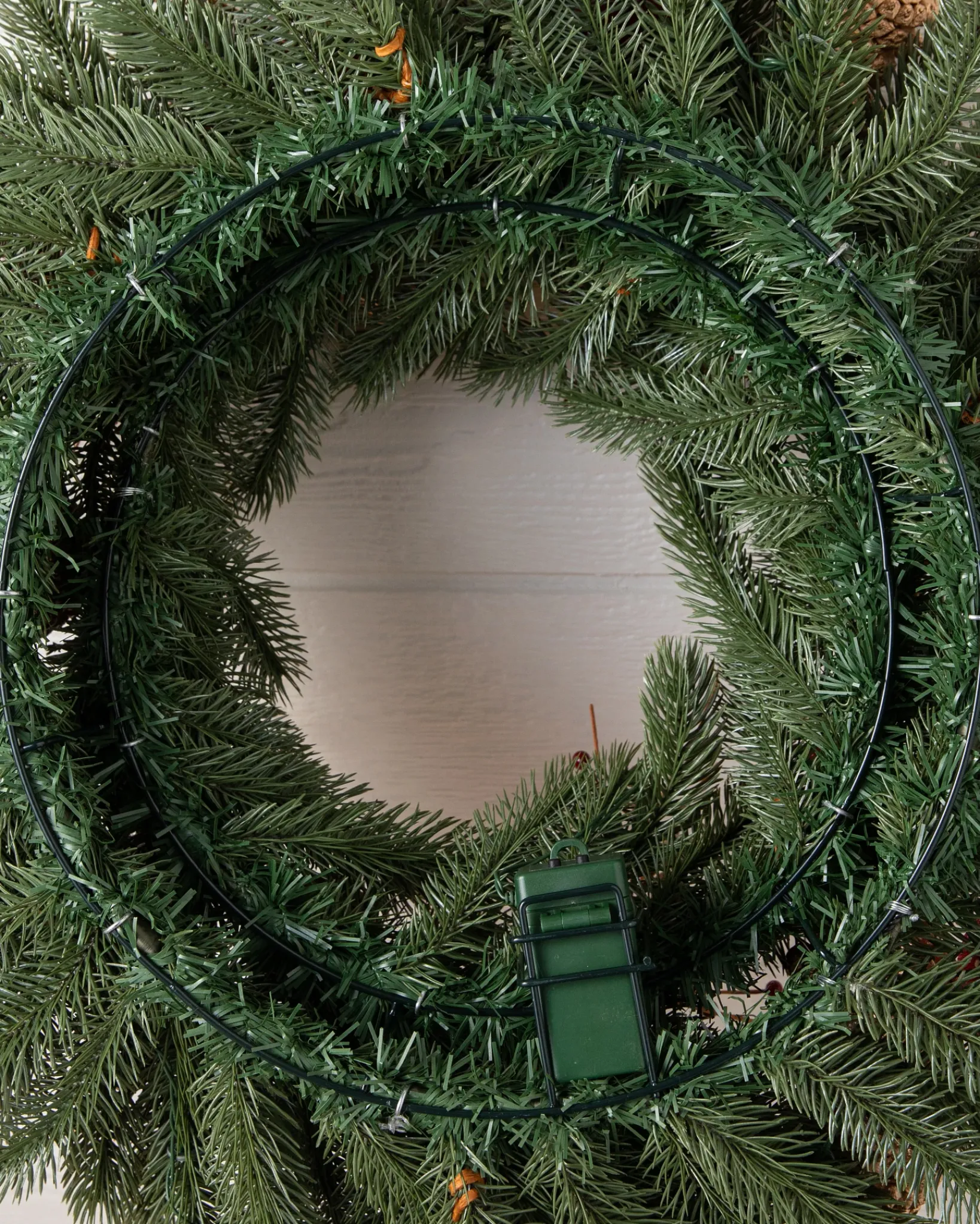 Outlet Vermont White Spruce Bordeaux Foliage 26 - 28 Inch|Indoor