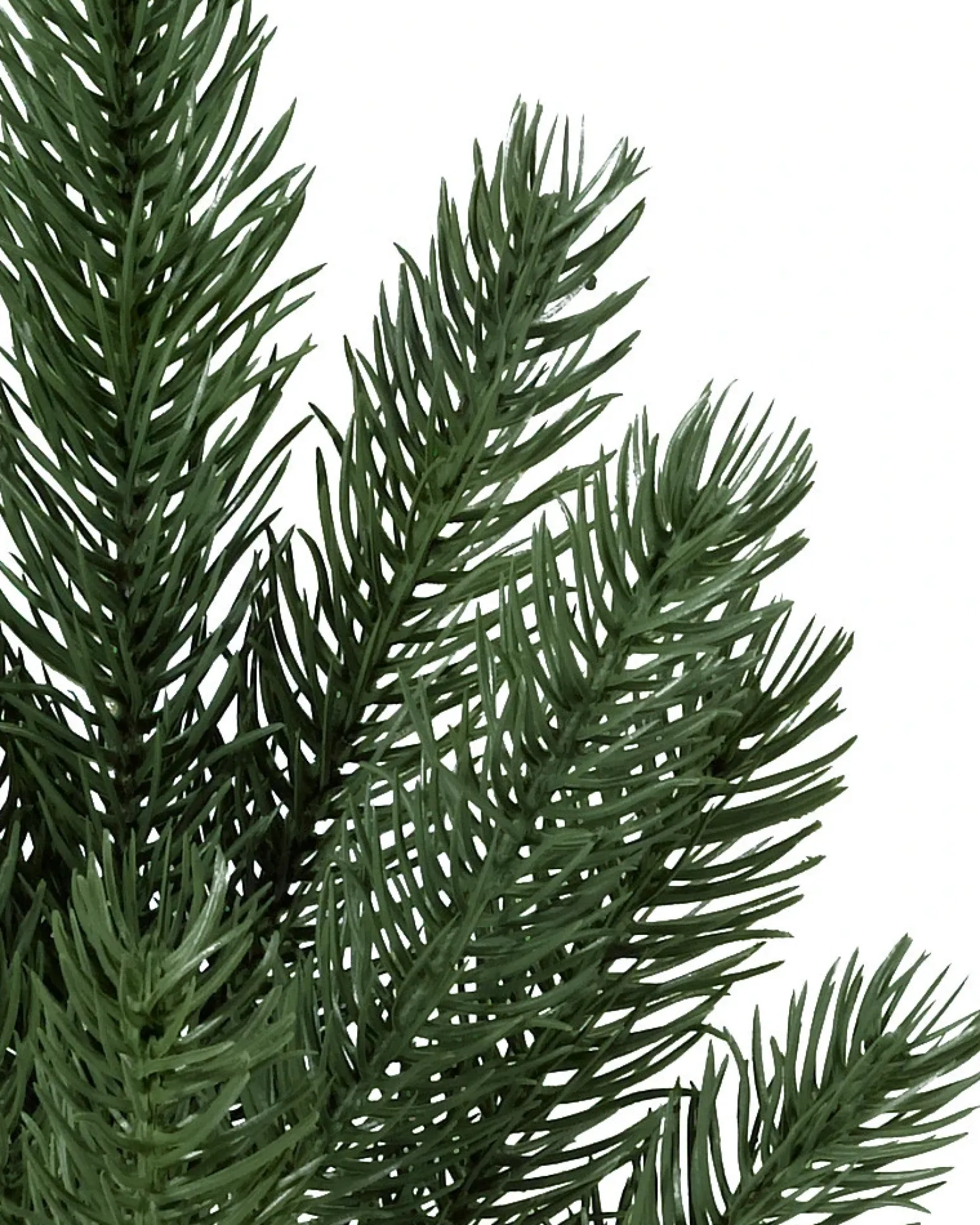 Hot Vermont White Spruce® ReNEW™ 7 - 7.5 Feet|Pre-Lit
