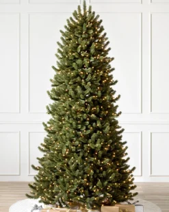 Best Vermont White Spruce® Trees 7 - 7.5 Feet|Pre-Lit