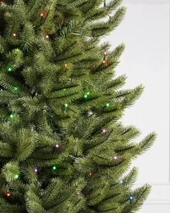 Best Vermont White Spruce® Trees 7 - 7.5 Feet|Pre-Lit