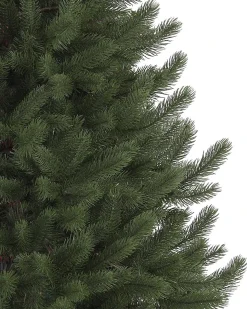 Best Vermont White Spruce® Trees 7 - 7.5 Feet|Pre-Lit