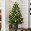 Discount White Berry Cypress Potted Tree Outdoor Safe