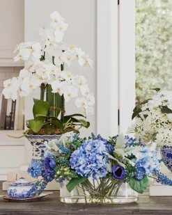 Sale White Phalaenopsis Orchids Foliage Flower Arrangements|Topiaries & Potted Flowers