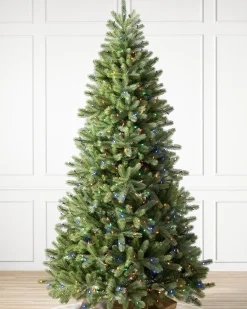 Online Woodland Spruce Trees 7 - 7.5 Feet|6 - 6.5 Feet