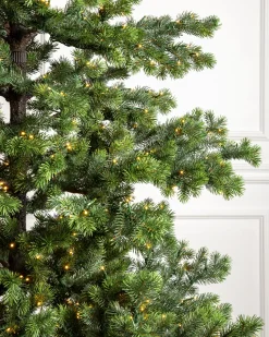 Discount Yukon Spruce® Trees 7 - 7.5 Feet|Pre-Lit