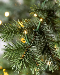 Discount Yukon Spruce® Trees 7 - 7.5 Feet|Pre-Lit