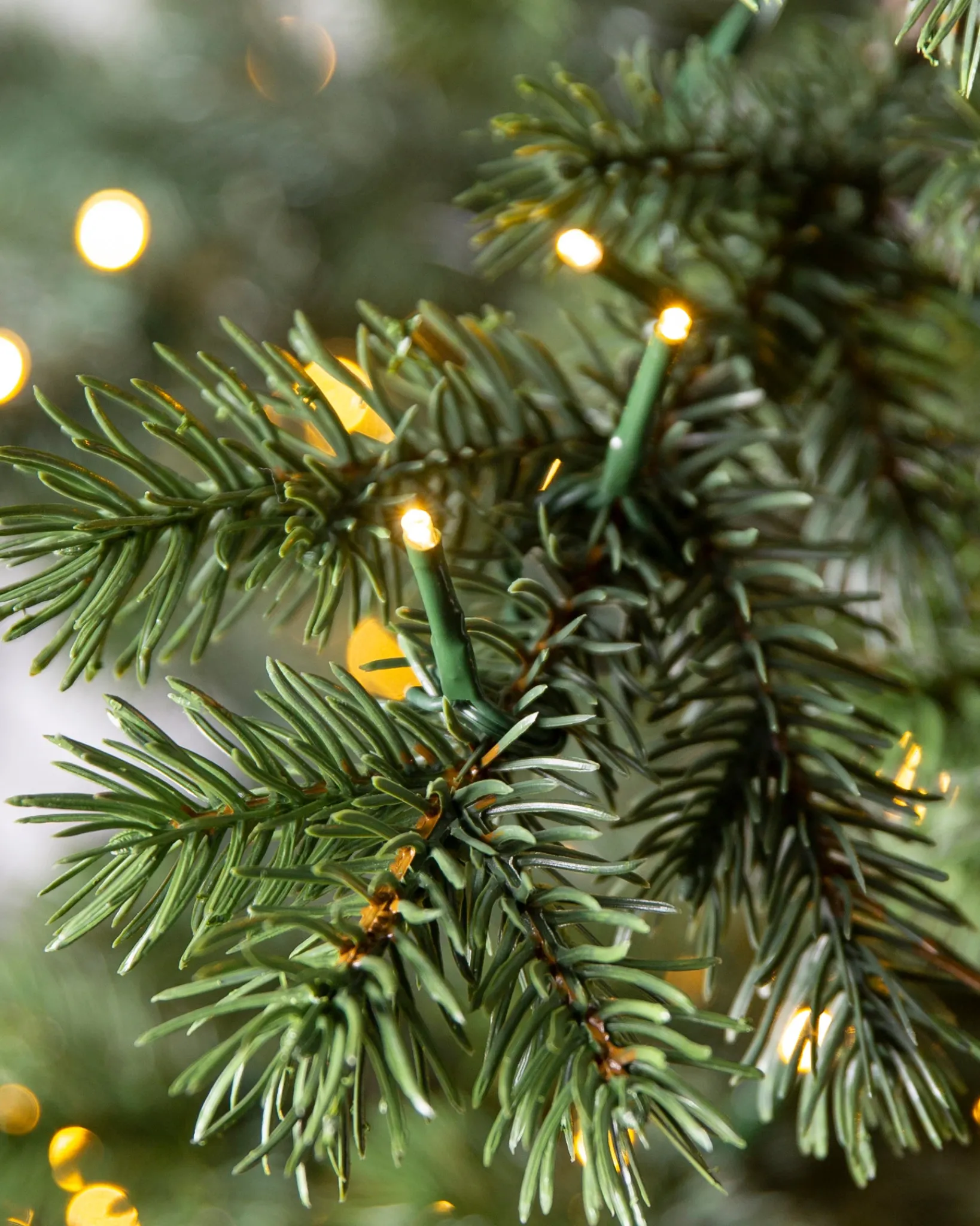 Discount Yukon Spruce® Trees 7 - 7.5 Feet|Pre-Lit